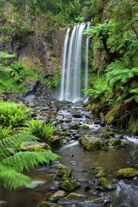 Framed Print : Australia, Victoria, Great Otway National Park, Hopetoun Falls Framed Print : Australia, Victoria, Great Otway National Park, Hopetoun Falls