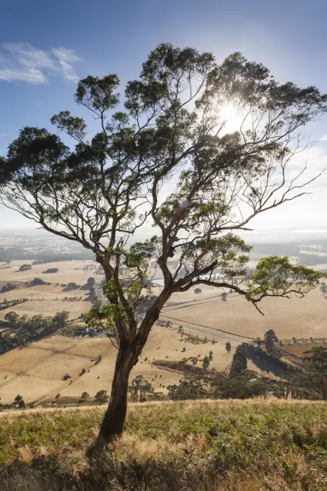Framed Print : Australia, Victoria, VIC, Buninyong, elevated view of landscape from Mount Buninyong Framed Print : Australia, Victoria, VIC, Buninyong, elevated view of landscape from Mount Buninyong