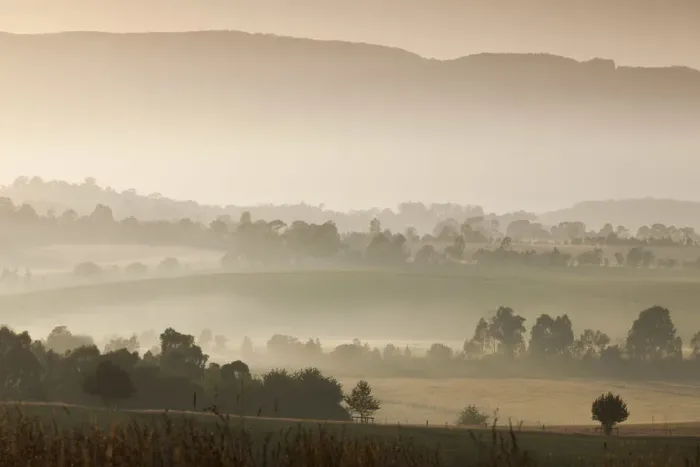 Framed Print : Australia, Victoria, VIC, Yarra Valley, landscape, dawn Framed Print : Australia, Victoria, VIC, Yarra Valley, landscape, dawn