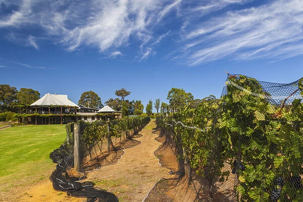 Australia, Western Australia, The Southwest, Margaret River Wine Region, Cowaramup