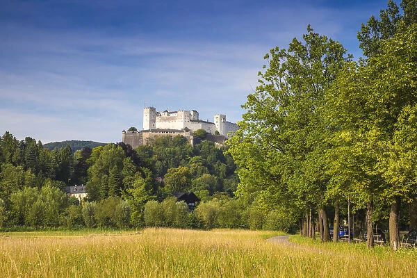 Austria, Salzburg, View of Hohensalzburg Castle
