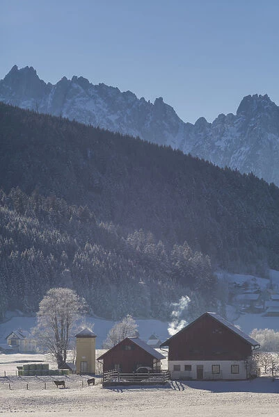 Austria, Upper Austria, Gosau, village view, winter