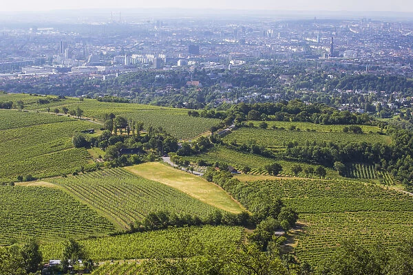 Austria, Vienna, View of vineyards and Vienna