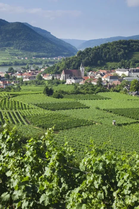 Framed Print : Austria, Wachau, Spitz and Danube River Framed Print : Austria, Wachau, Spitz and Danube River