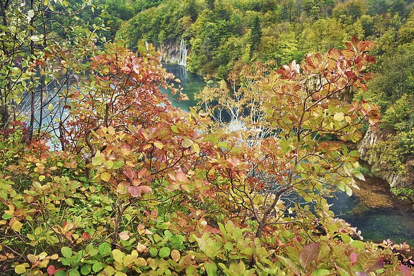 Autum colours - Croatia, Lika-Senj, Plitvice Lakes - Plitvice Lakes National Park