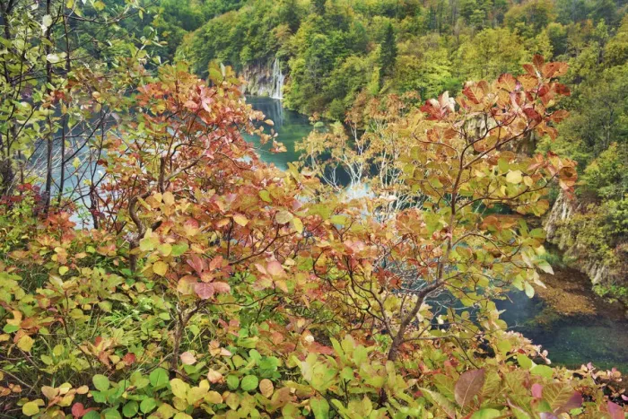 Framed Print : Autum colours - Croatia, Lika-Senj, Plitvice Lakes - Plitvice Lakes National Park