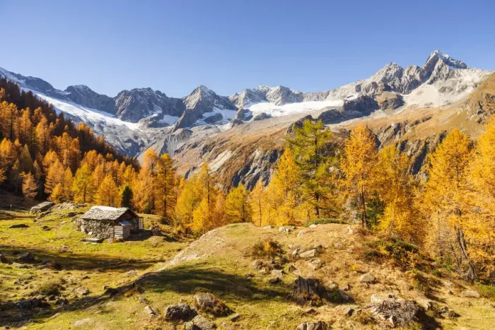 Framed Print : Autumn at Alpe Sentieri, Mount Disgrazia Group, Chiareggio, Valmalenco, Province of Framed Print : Autumn at Alpe Sentieri, Mount Disgrazia Group, Chiareggio, Valmalenco, Province of