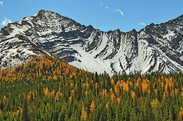 Autumn in the Canadian Rocky Mountains, Kananaskis Country, Alberta, Canada