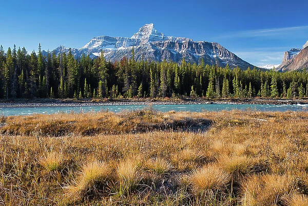 Autumn in the Canadian Rocky Mountains along the Icefields Parkway, Jasper National Park, Alberta, Canada