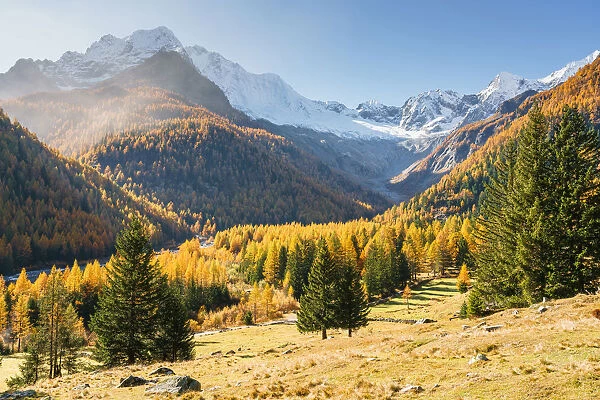 Autumn in Chiareggio with snowy Mount Disgrazia, Malenco Valley, Valtellina, Sondrio