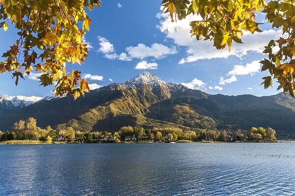 Autumn colors on the Como lake, in the background Legnone peak. Lombardy, Italy