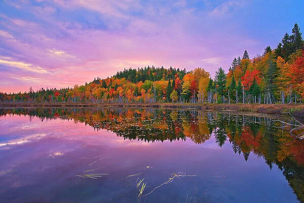 Autumn colors at dawn reflected in Lac Boyer in the Laurentian Mountains. Great Lakes - St. Lawrence Forest Region. La Mauricie National Park, Quebec, Canada