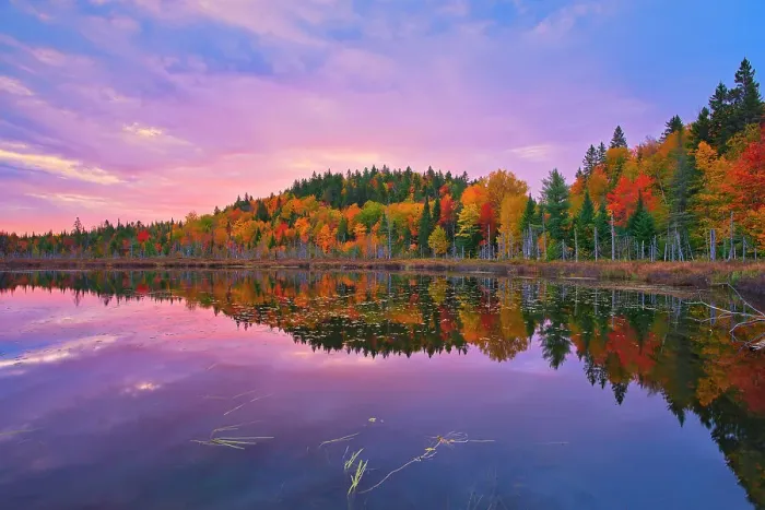Framed Print : Autumn colors at dawn reflected in Lac Boyer in the Laurentian Mountains. Great Lakes - St. Lawrence Forest Region. La Mauricie National Park, Quebec, Canada
