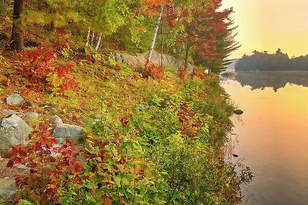 Autumn colors along George Lake Killarney Provincial Park, Ontario, Canada