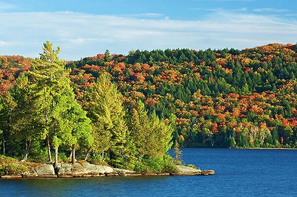 Autumn colors at Lake of Two Rivers Algonquin Provincial Park, Ontario, Canada