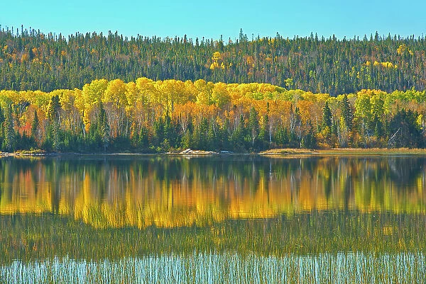 Autumn colors in northern lake Near Sault Ste Marie, Ontario, Canada