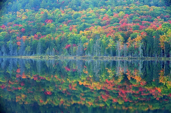 Autumn colors reflected in Applebee Lake near Thessalon, Ontario, Canada