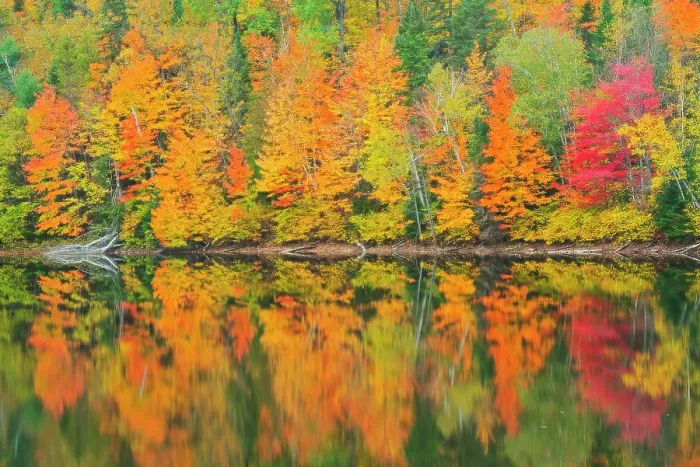 Framed Print : Autumn colors reflected in Lac Trudel. Great Lakes - St. Lawrence Forest Region. Saint-Mathieu-du-Parc, Quebec, Canada Framed Print : Autumn colors reflected in Lac Trudel. Great Lakes - St. Lawrence Forest Region. Saint-Mathieu-du-Parc, Quebec, Canada