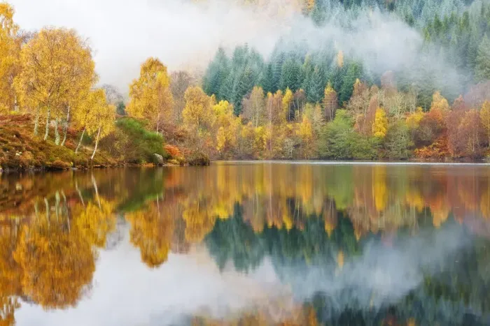 Framed Print : Autumn Colour on the edge of Loch Faskally, Pitlochry, Scotland