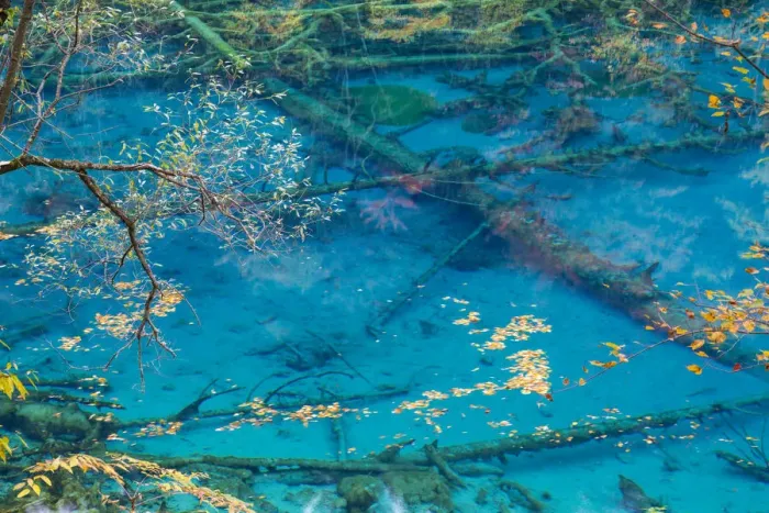 Framed Print : Autumn colour & lake, Jiuzhaigou National Park, Sichuan Province, China Framed Print : Autumn colour & lake, Jiuzhaigou National Park, Sichuan Province, China