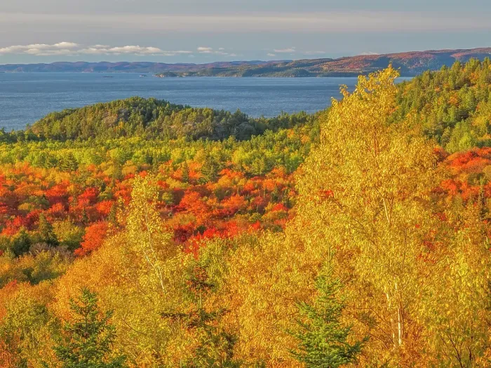Framed Print : Autumn colour at Montreal Harbour on Lake Superior, Ontario, Canada