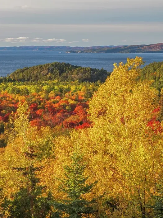 Framed Print : Autumn colour at Montreal Harbour on Lake Superior, Ontario, Canada