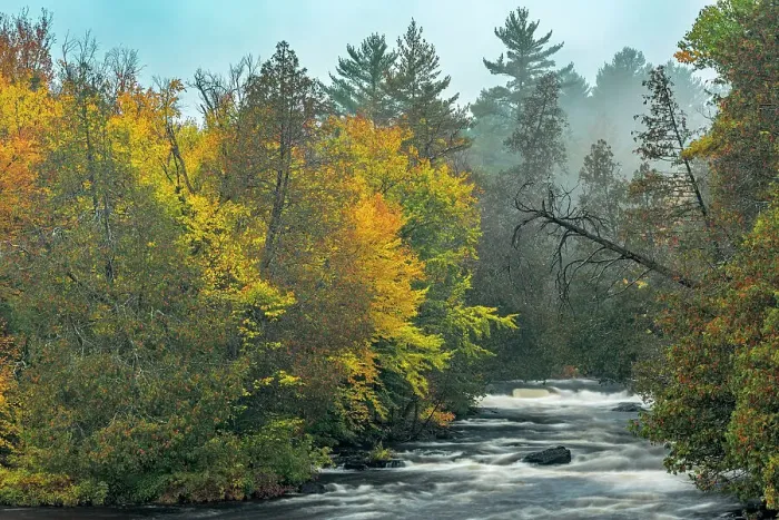 Framed Print : Autumn Colour on the Petawawa River, Algonquin Provincial Park, Ontario, Canada Framed Print : Autumn Colour on the Petawawa River, Algonquin Provincial Park, Ontario, Canada