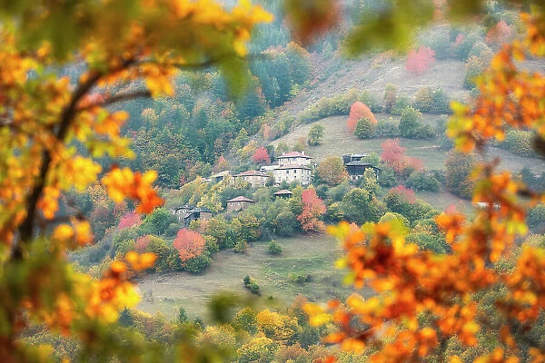 Autumn colour in the Rhodope Mountains, Bulgaria