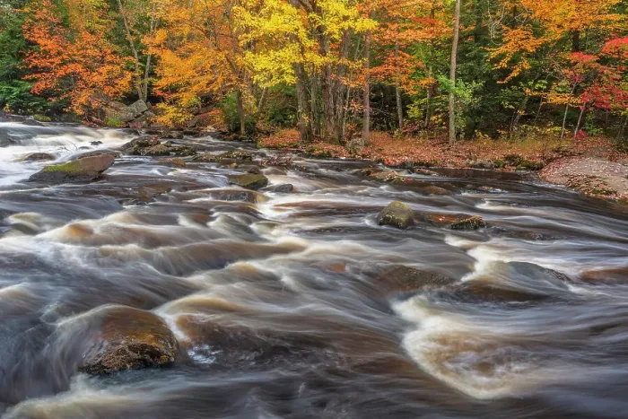 Framed Print : Autumn colour along the Rosseau River, Muskoka, Ontario, Canada Framed Print : Autumn colour along the Rosseau River, Muskoka, Ontario, Canada