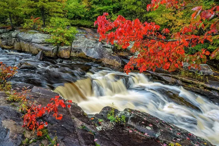 Framed Print : Autumn colour on the Rosseau River, Muskoka, Ontario, Canada Framed Print : Autumn colour on the Rosseau River, Muskoka, Ontario, Canada