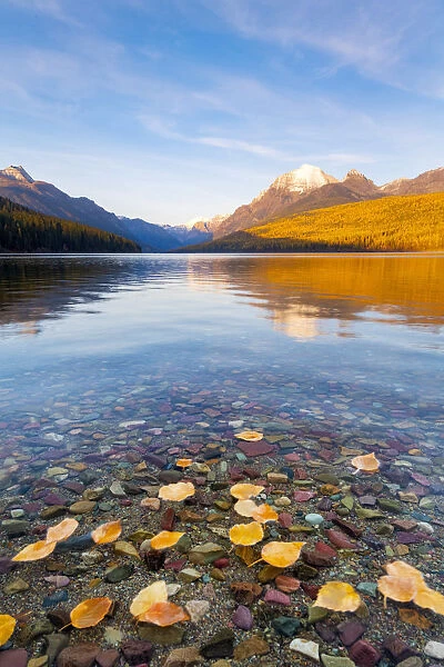 Autumn colours on Bowman Lake, Glacier National Park, Montana, USA