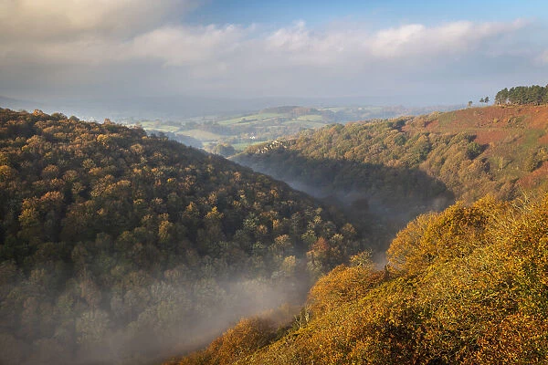 Autumn colours on a misty fall morning above the Teign Valley, Dartmoor, Devon, England