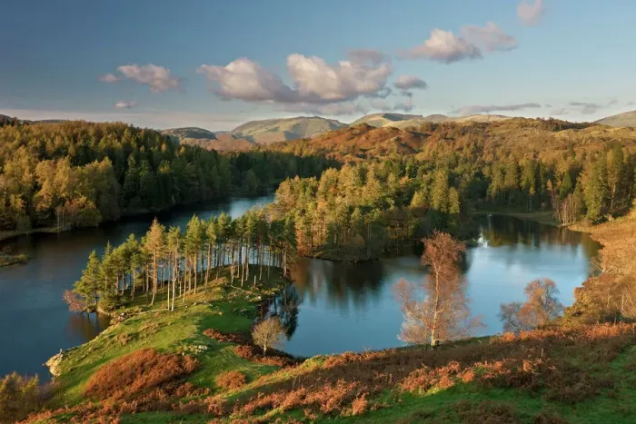 Framed Print : Autumn colours at Tarn Hows nearr Hawkshead, Lake District, Cumbria, England