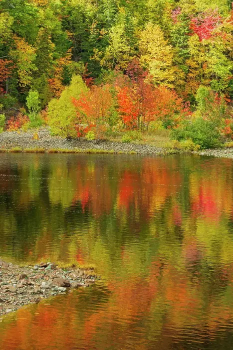 Framed Print : Autumn along a creek on the Cabot Trail, Cape Breton, Indian Brook, Nova Scotia, Canada