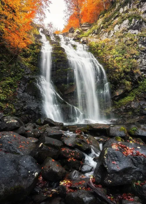 Framed Print : Autumn at Dardagna waterfalls, Corno Alle Scale Regional Park, Lizzano in Belvedere, Bologna province, Emilia Romagna, Italy, Europe Framed Print : Autumn at Dardagna waterfalls, Corno Alle Scale Regional Park, Lizzano in Belvedere, Bologna province, Emilia Romagna, Italy, Europe