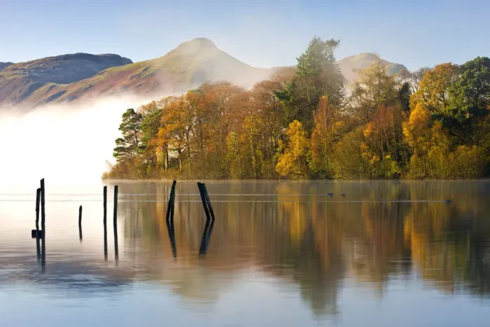 Framed Print : Autumn foliage on the banks of Derwent Water, Keswick, Lake District National Park Framed Print : Autumn foliage on the banks of Derwent Water, Keswick, Lake District National Park