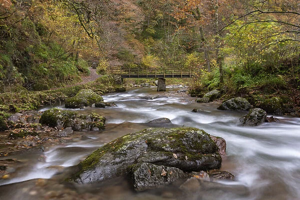 Autumn foliage on the banks of the fast flowing East Lyn River at Watersmeet