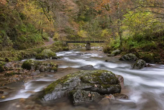 Framed Print : Autumn foliage on the banks of the fast flowing East Lyn River at Watersmeet Framed Print : Autumn foliage on the banks of the fast flowing East Lyn River at Watersmeet
