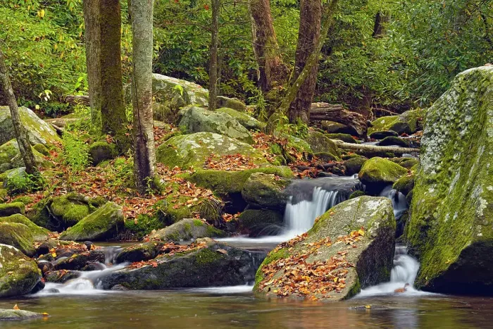 Framed Print : Autumn foliage around Big Creek, Great Smoky Mountains NP, Tennessee, USA Framed Print : Autumn foliage around Big Creek, Great Smoky Mountains NP, Tennessee, USA