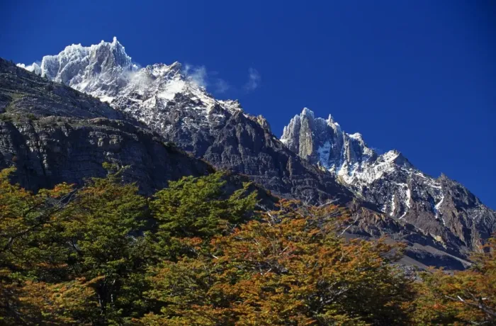 Framed Print : Autumn foliage in front of the corniced summit of Paine Grande Framed Print : Autumn foliage in front of the corniced summit of Paine Grande
