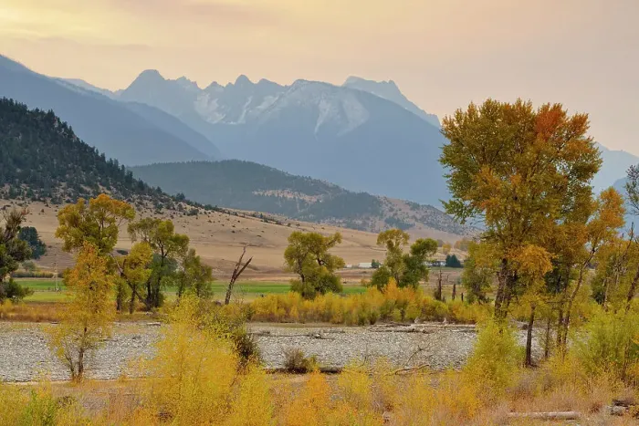 Framed Print : Autumn foliage on cottonwoods along the Yellowstone River, with the Absaroka Range, near de Puy, Spring Creek, Livingston, Montana, USA