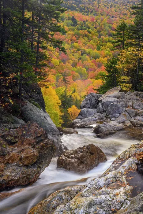 Framed Print : Autumn foliage on a mountainside behind the Ellis River above Glen Ellis Falls, Highway 16 near Pinkham Notch, New Hampshire, USA Framed Print : Autumn foliage on a mountainside behind the Ellis River above Glen Ellis Falls, Highway 16 near Pinkham Notch, New Hampshire, USA