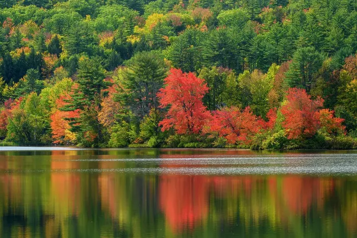 Framed Print : Autumn foliage reflected in Crystal Lake, Eaton, New Hampshire, USA Framed Print : Autumn foliage reflected in Crystal Lake, Eaton, New Hampshire, USA