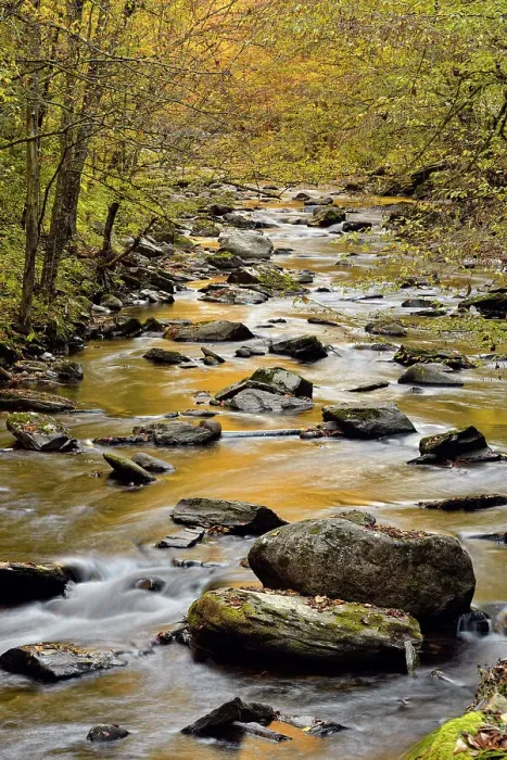 Framed Print : Autumn foliage reflected in the Middle Prong of the Little River at Tremont, Great Smoky Mountains NP, Tennessee, USA Framed Print : Autumn foliage reflected in the Middle Prong of the Little River at Tremont, Great Smoky Mountains NP, Tennessee, USA
