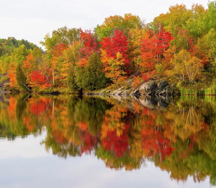 Framed Print : Autumn foliage along the shore of Simon Lake, Greater Sudbury, Ontario, Canada Framed Print : Autumn foliage along the shore of Simon Lake, Greater Sudbury, Ontario, Canada
