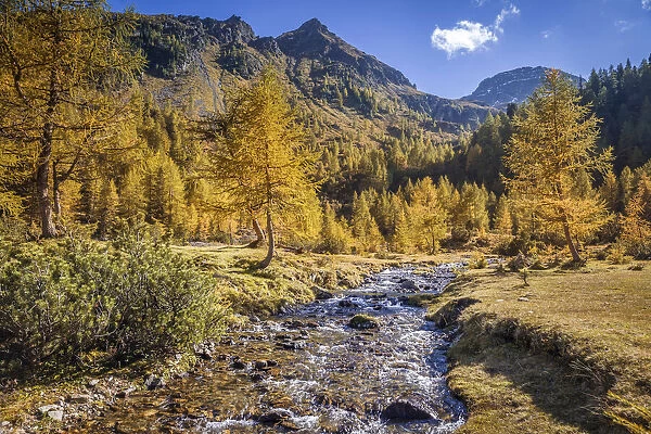 Autumn forest and mountain stream above the Duisitzkarsee in the Schladming Mountains
