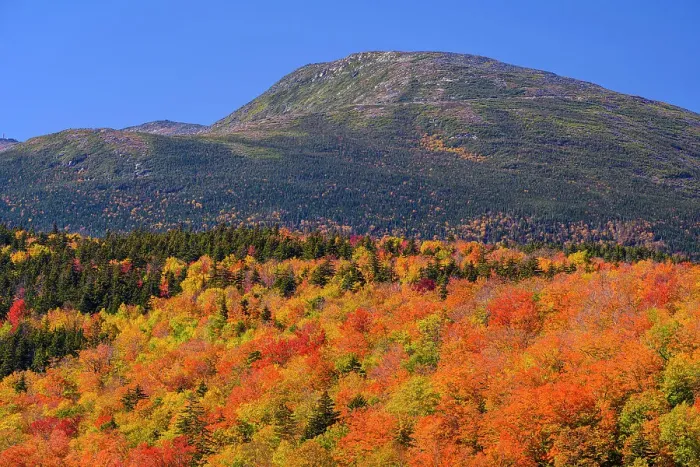 Framed Print : Autumn forest and Presidential Range (Mount Washington), Mount Washington, Pinkham Notch, New Hampshire, USA Framed Print : Autumn forest and Presidential Range (Mount Washington), Mount Washington, Pinkham Notch, New Hampshire, USA