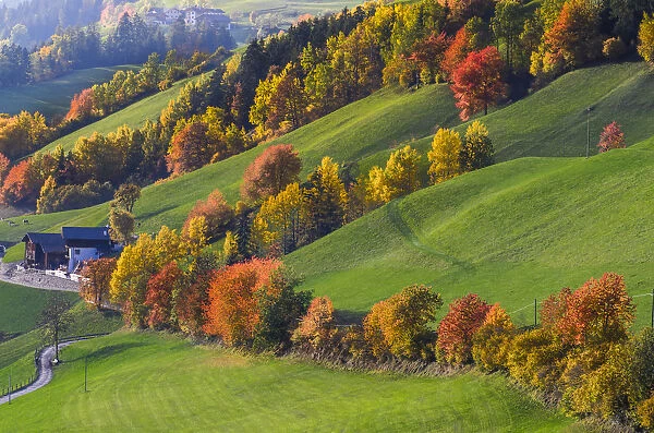 Autumn in Funes valley, Bolzano, Trentino Alto Adige, Italy