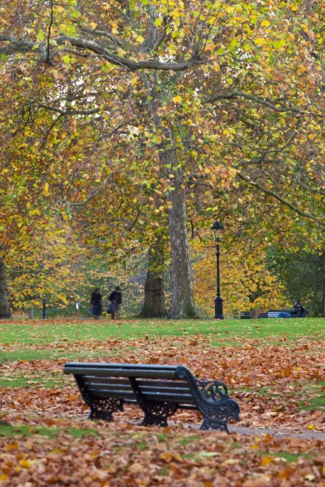Framed Print : Autumn in Green Park, London, England Framed Print : Autumn in Green Park, London, England
