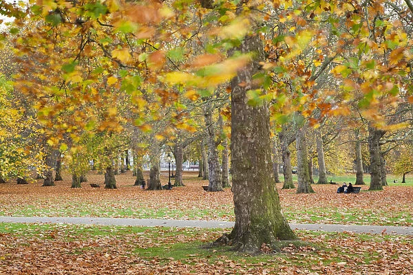 Autumn in Green Park, London, England